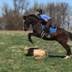 Meet your Posher, Madeline